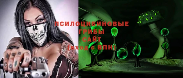 дурь Бородино