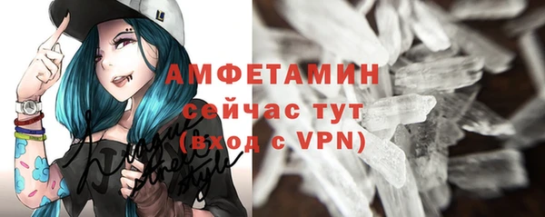 дурь Бородино