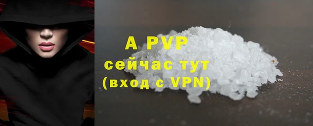 эйфоретик Медвежьегорск