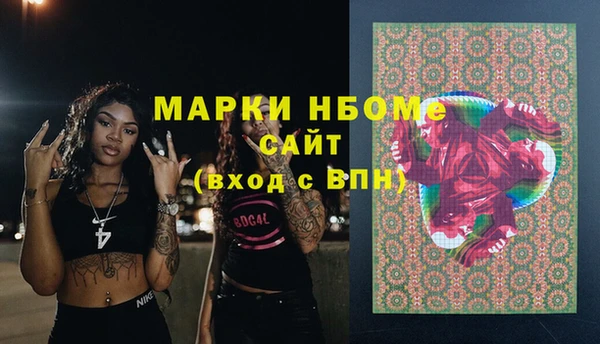 твердый Медногорск