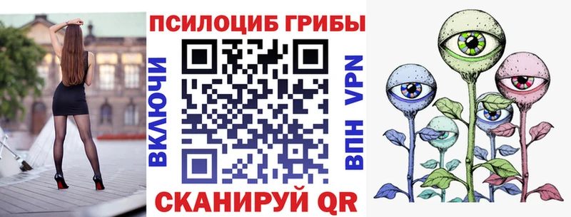 Псилоцибиновые грибы Psilocybine cubensis где купить наркоту Венёв